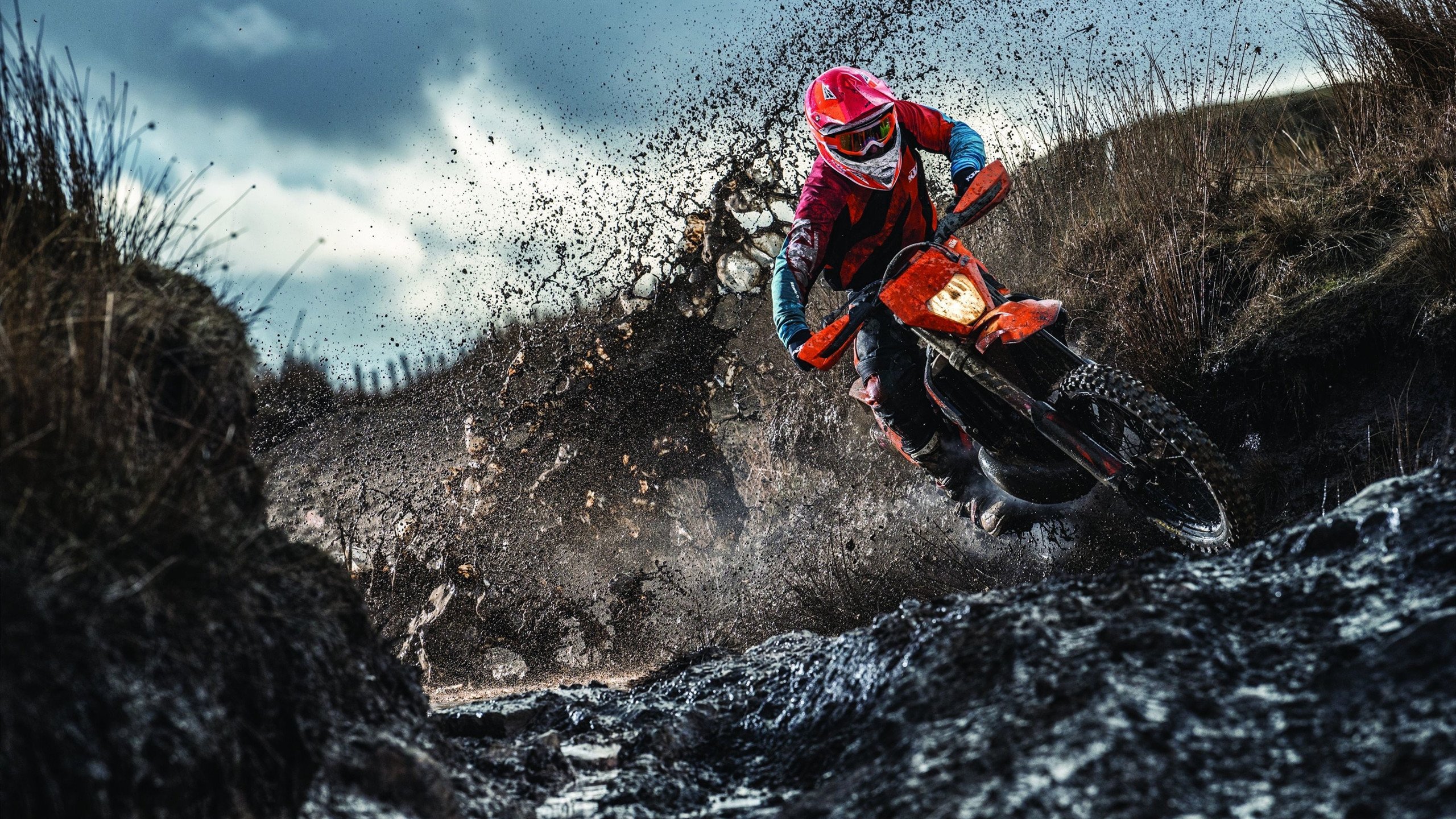 特色“绿色+智慧”场馆示范工程不断开花结果,行业基础不断夯实