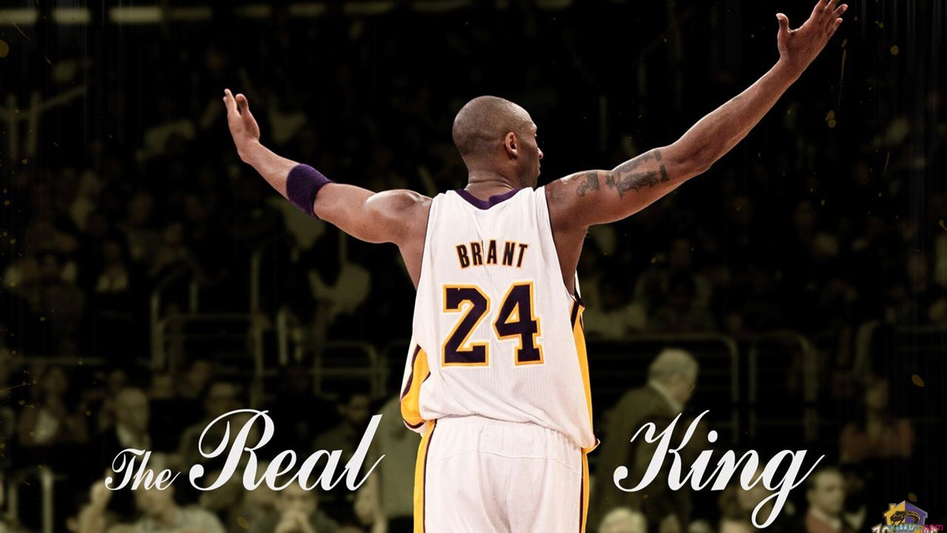 青少年“梦想篮球季”在武汉盛大开启，助推青训行业普及，湖北当代青少年篮球